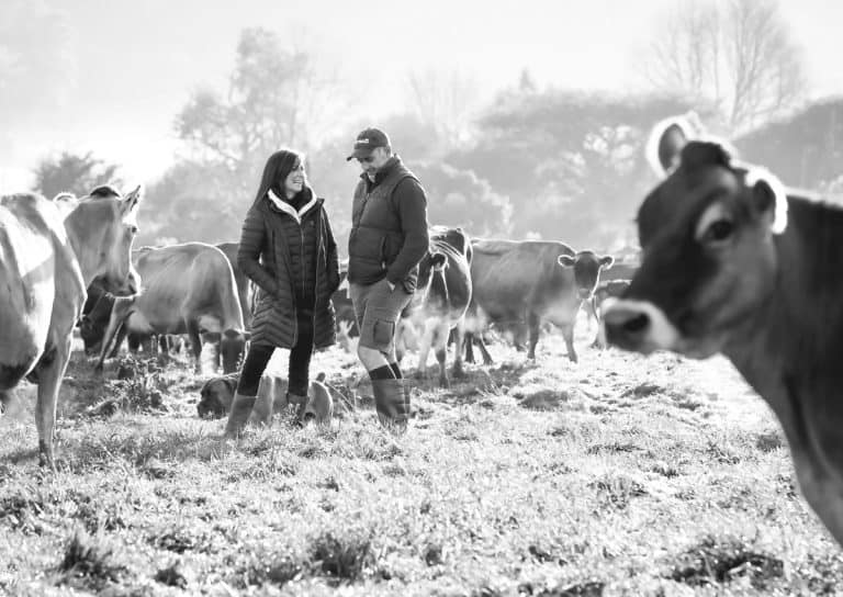BUSH HILL CHEESE CONTINUES ITS AWARD-WINNING RUN WITH FURTHER AWARDS IN 2026